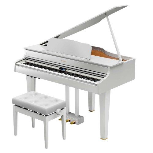 Сервисный центр Roland в Нижнем Новгороде